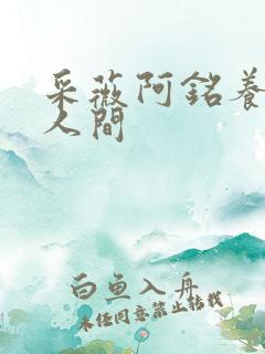 采薇阿铭养父在人间