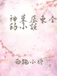 神墓辰东全免费的小说