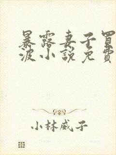暴露妻子买菜风波小说免费阅读