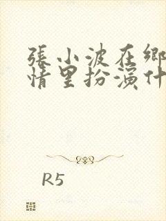 张小波在乡村爱情里扮演什么