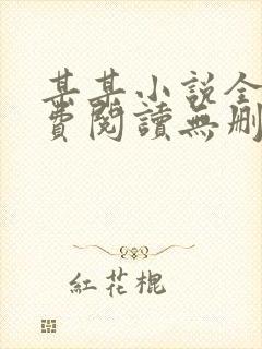 某某小说全文免费阅读无删减