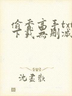 偷香高手txt下载无删减