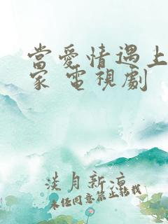 当爱情遇上科学家 电视剧