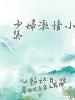 少妇激情小说合集