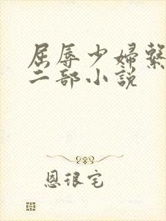 屈辱少妇系列十二部小说
