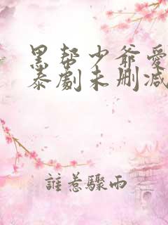 黑帮少爷爱上我泰剧未删减版