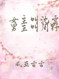 女主叫沈云舒,男主叫周野的小说