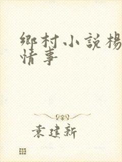 乡村小说杨家洼情事