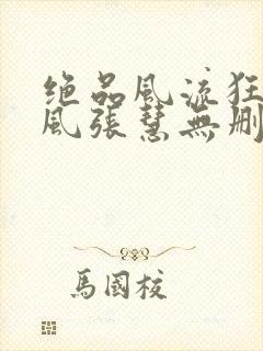 绝品风流狂医林风张慧无删节