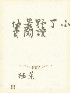 他最野了小说免费阅读