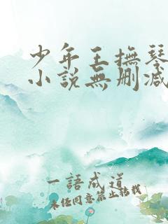 少年王抚琴的人小说无删减在线阅读