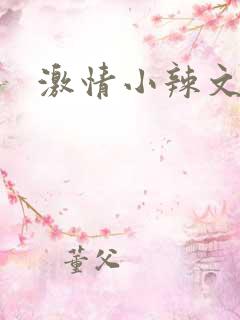 激情小辣文