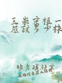 玉米密植一亩地应该多少株