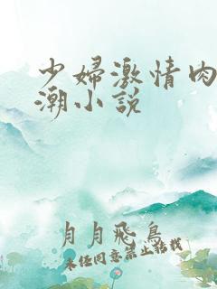 少妇激情肉欲高潮小说
