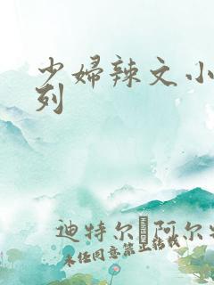 少妇辣文小说系列