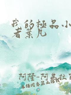 我的极品小姨作者叶凡