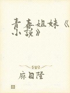 青春姐妹《陈刚小说》
