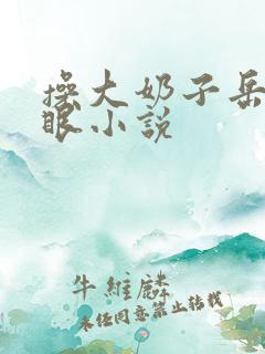 操大奶子岳母屁眼小说