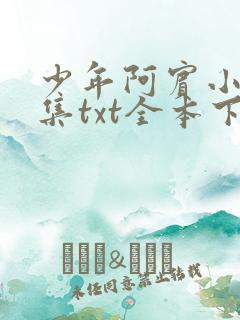 少年阿宾小说全集txt全本下载