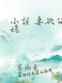 小说 妻欲公与媳