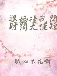退婚后我闪婚了财阀大佬短剧