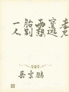 一胎两宝老婆大人别想逃免费阅读全文小说