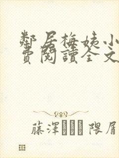 邻居梅姨小说免费阅读全文无弹窗