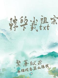 他的小祖宗甜又野下载txt