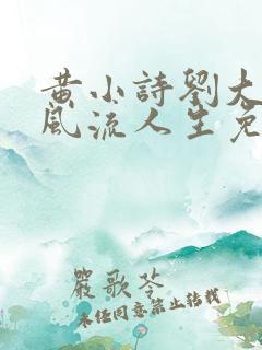 黄小诗刘大爷的风流人生免费阅读小