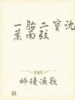 一胎二宝沈蔓歌叶南弦