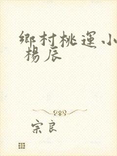 乡村桃运小神医 杨辰