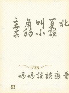主角叫夏北许馨柔的小说
