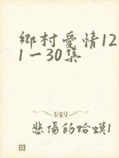 乡村爱情12部1一30集