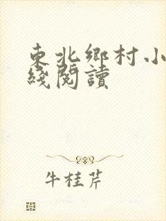 东北乡村小说在线阅读