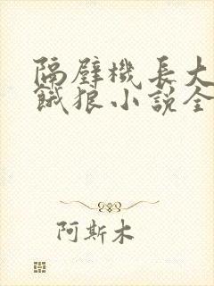 隔壁机长大叔是饿狼小说全文免费