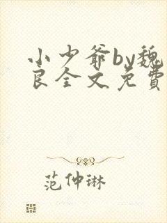 小少爷by魏丛良全文免费阅读