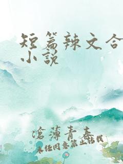 短篇辣文合集的小说