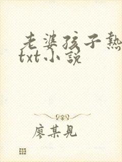 老婆孩子热炕头txt小说