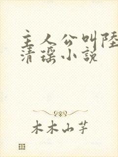 主人公叫陆尘李清瑶小说