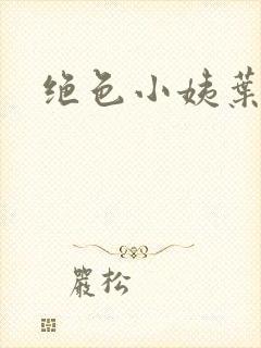 绝色小姨叶凡
