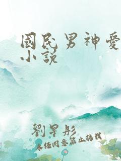 国民男神爱上我小说