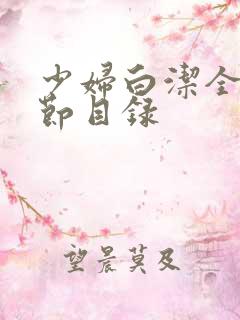 少妇白洁全文章节目录