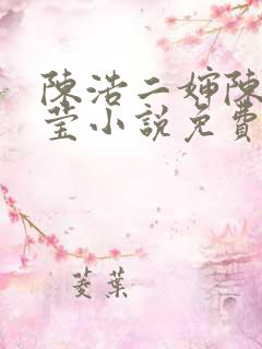 陈浩二婶陈丽小莹小说免费阅读