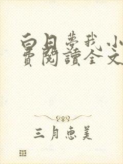 白日梦我小说免费阅读全文完整版
