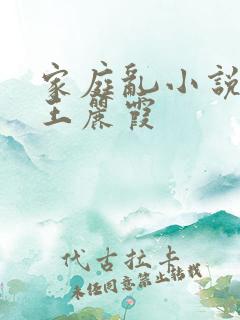 家庭乱小说熟妇王丽霞