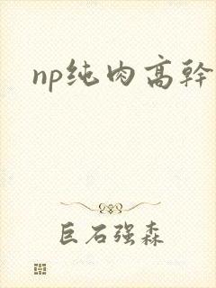 np纯肉高干文