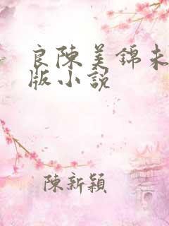 良陈美锦未删减版小说