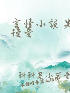 言情小说 先婚后爱
