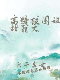 高糖校园姐弟恋甜宠文
