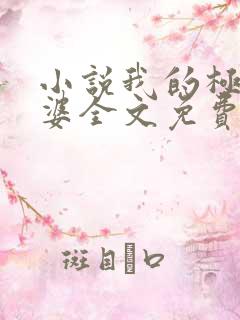 小说我的极品老婆全文免费阅读